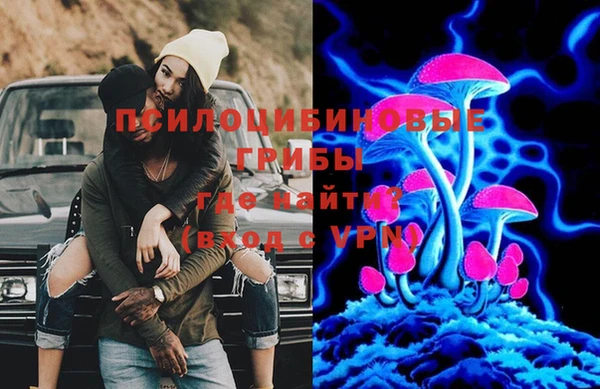 крисы Краснотурьинск