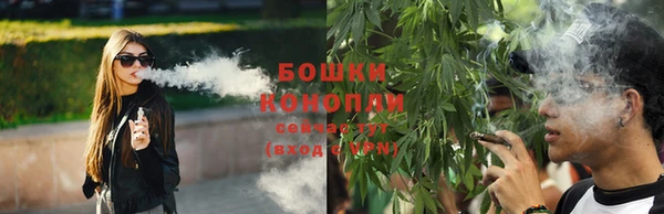 дживик Краснослободск