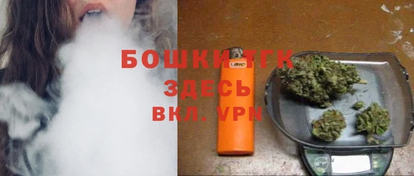 дживик Краснослободск