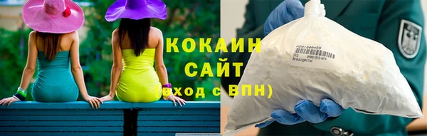 дживик Краснослободск