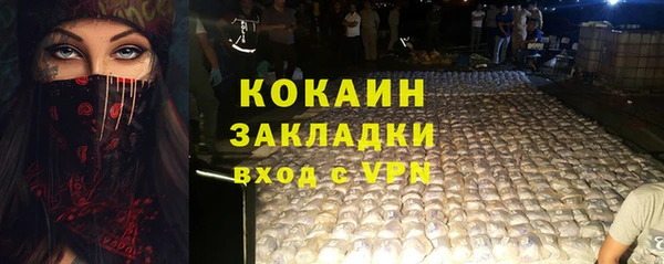 дживик Краснослободск